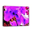 Abstract Ultra Violet Purple Iris On Red And Pink Deluxe Canvas 16  x 12  (Stretched)  View1