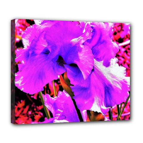 Abstract Ultra Violet Purple Iris On Red And Pink Deluxe Canvas 24  X 20  (stretched) by myrubiogarden