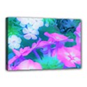 Pink, Green, Blue And White Garden Phlox Flowers Canvas 18  x 12  (Stretched) View1