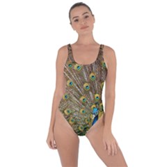 Peacock Plumage Bird Peafowl Bring Sexy Back Swimsuit by Wegoenart