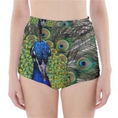 Peacock Close Up Plumage Bird Head High-waisted Bikini Bottoms by Wegoenart