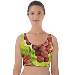 Grape Harvest Nature Figure Rustic Velvet Crop Top by Wegoenart