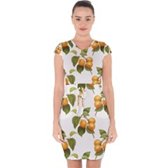 Apricot Fruit Vintage Art Capsleeve Drawstring Dress  by Pakrebo