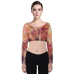 Color Background Structure Lines Velvet Long Sleeve Crop Top by Mariart