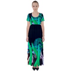 Dragon Lights Turtle High Waist Short Sleeve Maxi Dress by Riverwoman