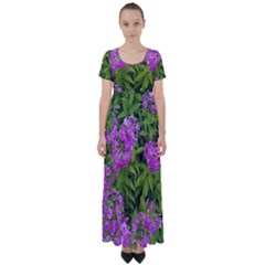 Stratford Garden Phlox High Waist Short Sleeve Maxi Dress by Riverwoman