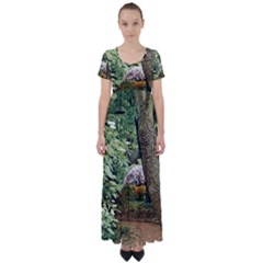 Garden Of The Phoenix High Waist Short Sleeve Maxi Dress by Riverwoman