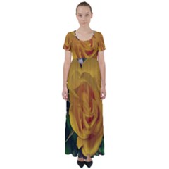 Yellow Rose High Waist Short Sleeve Maxi Dress by Riverwoman