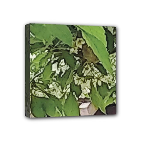 Garden Of The Phoenix  Mini Canvas 4  X 4  (stretched) by Riverwoman