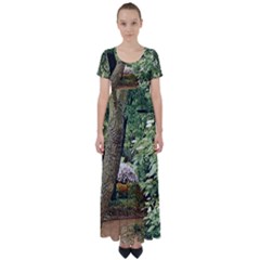 Garden Of The Phoenix  High Waist Short Sleeve Maxi Dress by Riverwoman