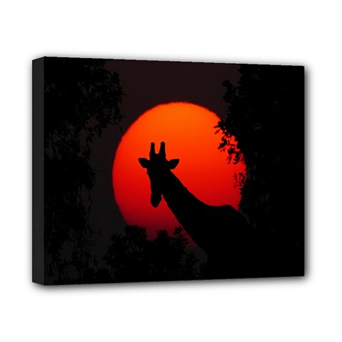 Giraffe Animal Africa Sunset Canvas 10  X 8  (stretched) by Sudhe