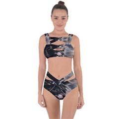 Angry Lion Digital Art Hd Bandaged Up Bikini Set  by Sudhe