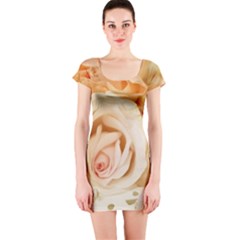 Roses Plate Romantic Blossom Bloom Short Sleeve Bodycon Dress by Sudhe