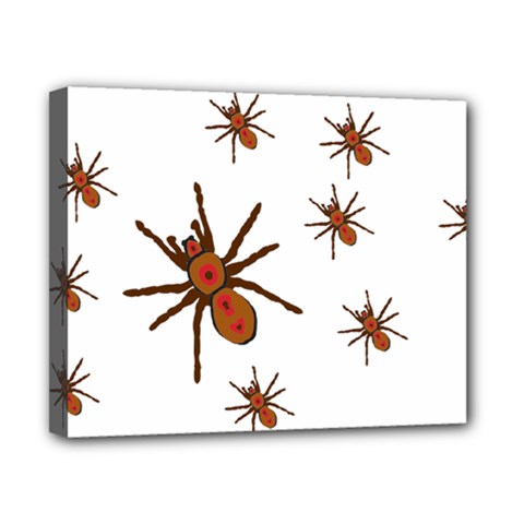 Nature Insect Natural Wildlife Canvas 10  X 8  (stretched) by Sudhe