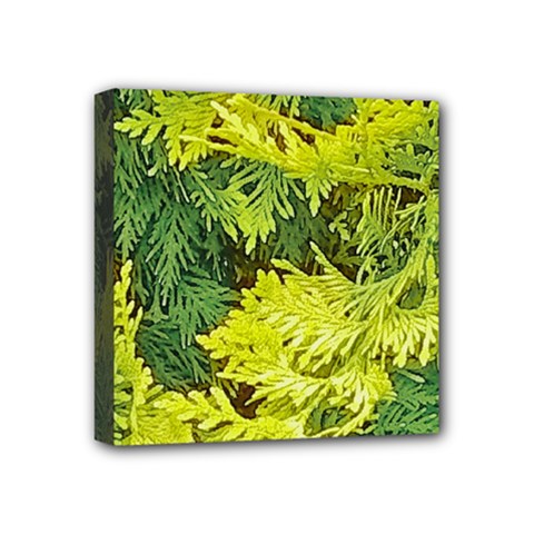 Garden Of The Phoenix Mini Canvas 4  X 4  (stretched) by Riverwoman