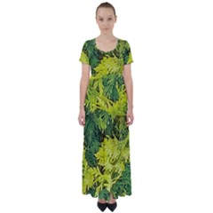 Garden Of The Phoenix High Waist Short Sleeve Maxi Dress by Riverwoman