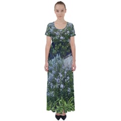 Lurie Garden Amsonia High Waist Short Sleeve Maxi Dress by Riverwoman