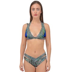 Peacock Bird Animal Feather Double Strap Halter Bikini Set by Pakrebo