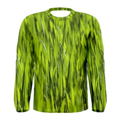 Agricultural Field   Men s Long Sleeve Tee by rsooll