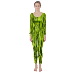 Agricultural Field   Long Sleeve Catsuit by rsooll