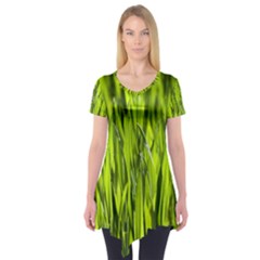 Agricultural Field   Short Sleeve Tunic  by rsooll