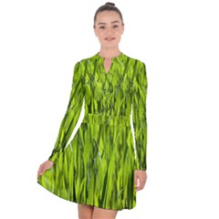 Agricultural Field   Long Sleeve Panel Dress by rsooll