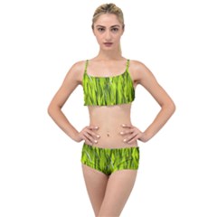 Agricultural Field   Layered Top Bikini Set by rsooll