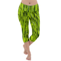 Agricultural Field   Lightweight Velour Capri Yoga Leggings by rsooll