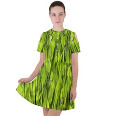 Agricultural Field   Short Sleeve Shoulder Cut Out Dress  by rsooll