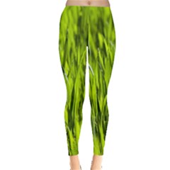 Agricultural Field   Leggings  by rsooll