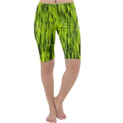 Agricultural Field   Cropped Leggings  by rsooll