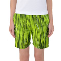 Agricultural Field   Women s Basketball Shorts by rsooll