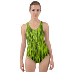 Agricultural Field   Cut-out Back One Piece Swimsuit by rsooll