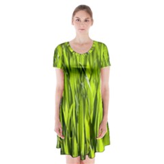 Agricultural Field   Short Sleeve V-neck Flare Dress by rsooll