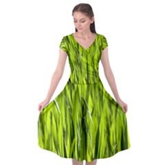 Agricultural Field   Cap Sleeve Wrap Front Dress by rsooll