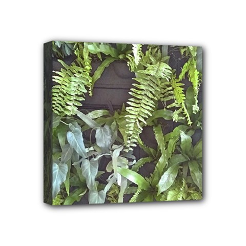 Living Wall Mini Canvas 4  X 4  (stretched) by Riverwoman