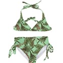 Fern Green Kids  Classic Bikini Set View1