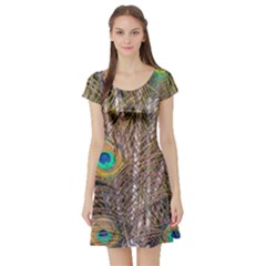 Pen Peacock Wheel Plumage Colorful Short Sleeve Skater Dress by Pakrebo