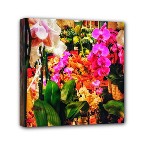 Orchids In The Market Mini Canvas 6  X 6  (stretched) by okhismakingart