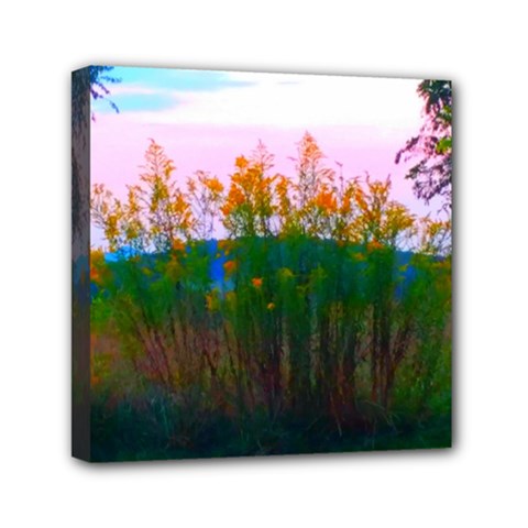 Field Of Goldenrod Mini Canvas 6  X 6  (stretched) by okhismakingart