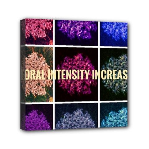 Floral Intensity Increases  Mini Canvas 6  X 6  (stretched) by okhismakingart