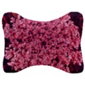 Queen Annes Lace in Red Part II Velour Seat Head Rest Cushion View1