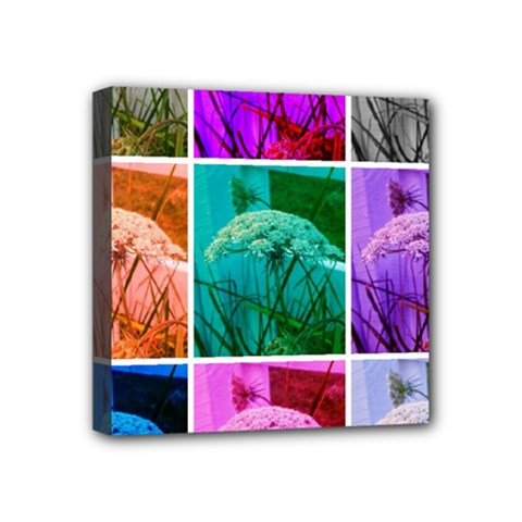 Color Block Queen Annes Lace Collage Mini Canvas 4  X 4  (stretched) by okhismakingart