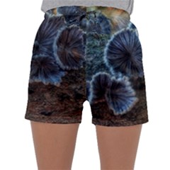 Tree Fungus Sleepwear Shorts by okhismakingart