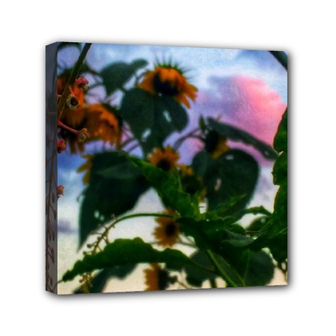 Sunflowers And Wild Weeds Mini Canvas 6  X 6  (stretched) by okhismakingart