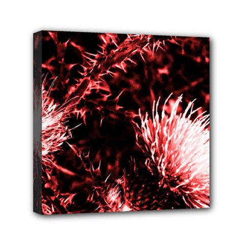 Red Thistle Mini Canvas 6  X 6  (stretched) by okhismakingart