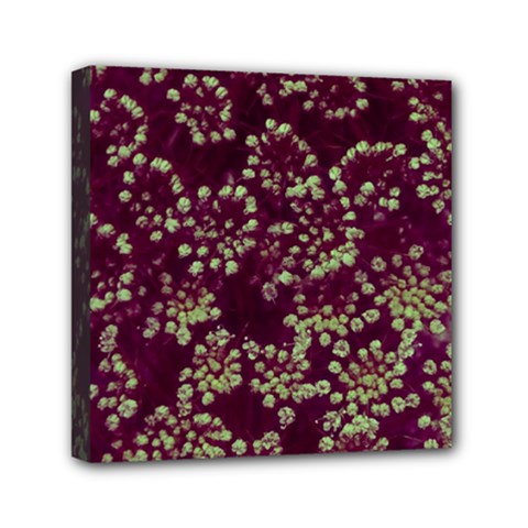 Pink And Green Queen Annes Lace (up Close) Mini Canvas 6  X 6  (stretched) by okhismakingart