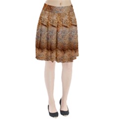 Shell Fossil Ii Pleated Skirt by okhismakingart