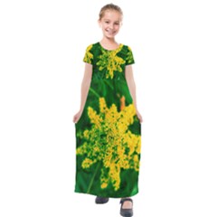 Yellow Sumac Bloom Kids  Short Sleeve Maxi Dress by okhismakingart