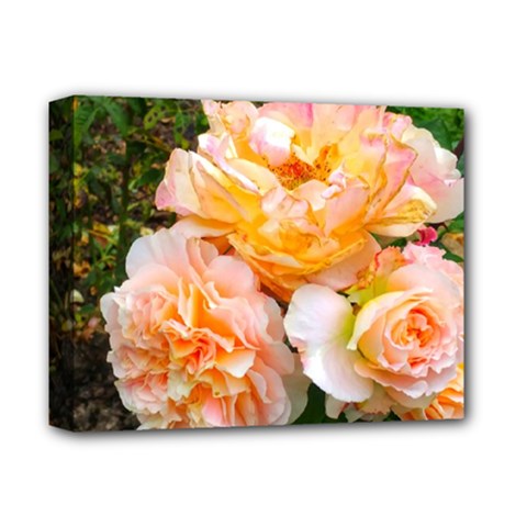 Bunch Of Orange And Pink Roses Deluxe Canvas 14  X 11  (stretched) by okhismakingart